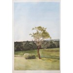 18x12, Landscape, Berkshires, Watercolor