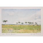 5x8, Barbados, Watercolor