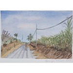 4x6, Barbados, Watercolor
