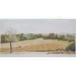 8 x 17 1/4, Berkshire, Watercolor
